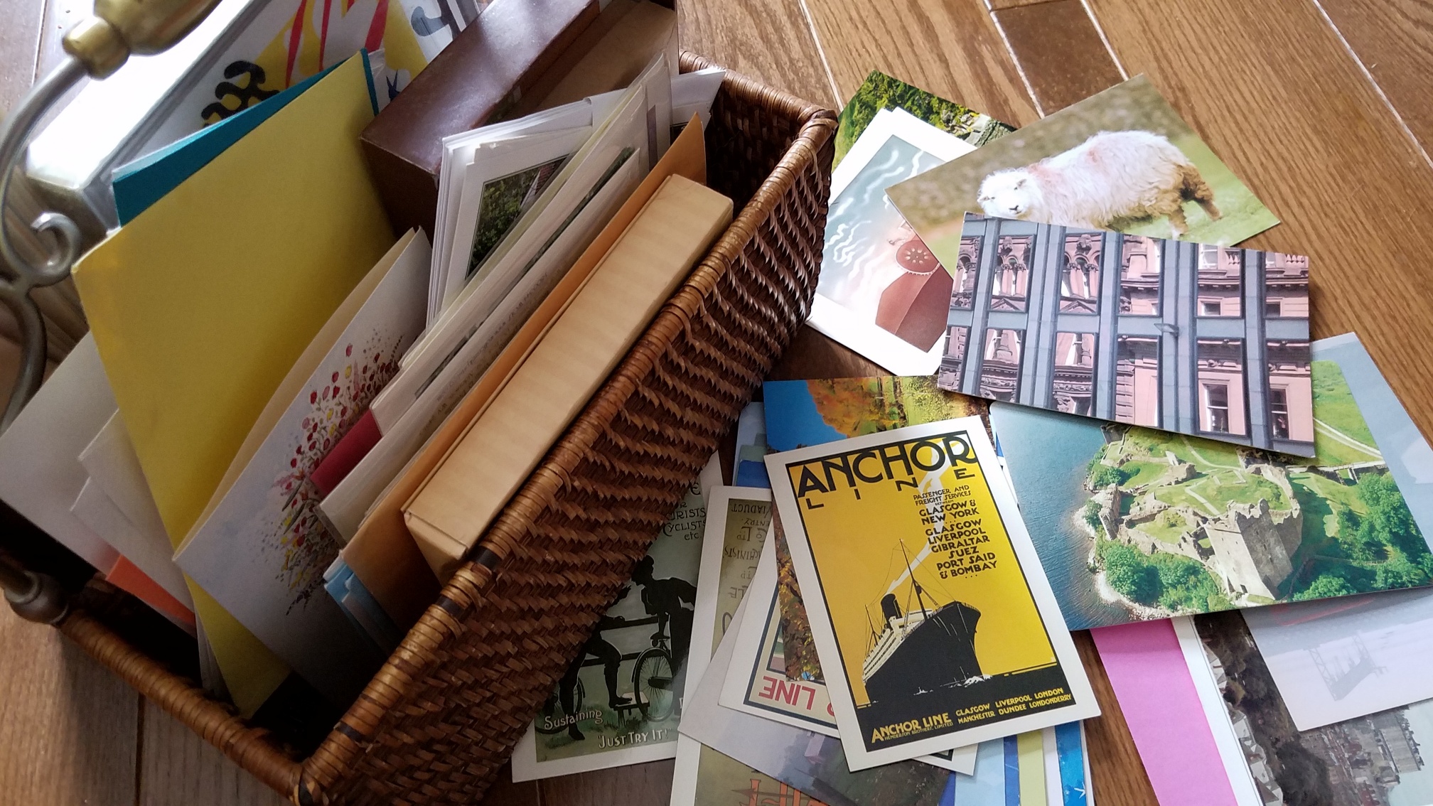 20190306_103159_resized