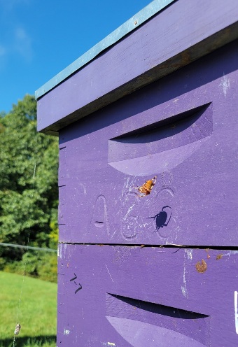 Purple beehives with a spider hovering over the side of it and a large orange colored spider hanging and casting a huge shadow
